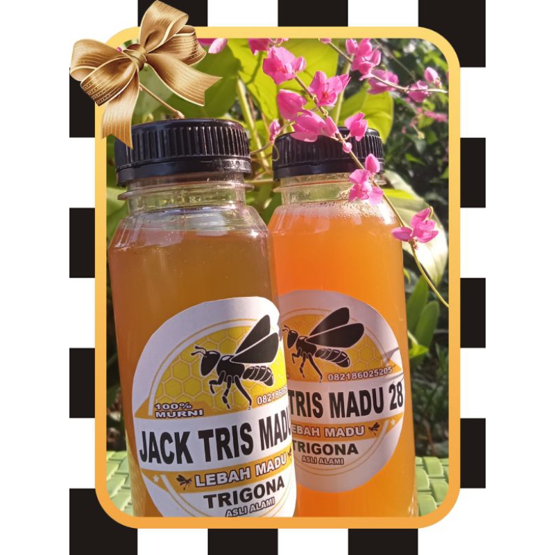 

MADU _murni_trigona_klanceng