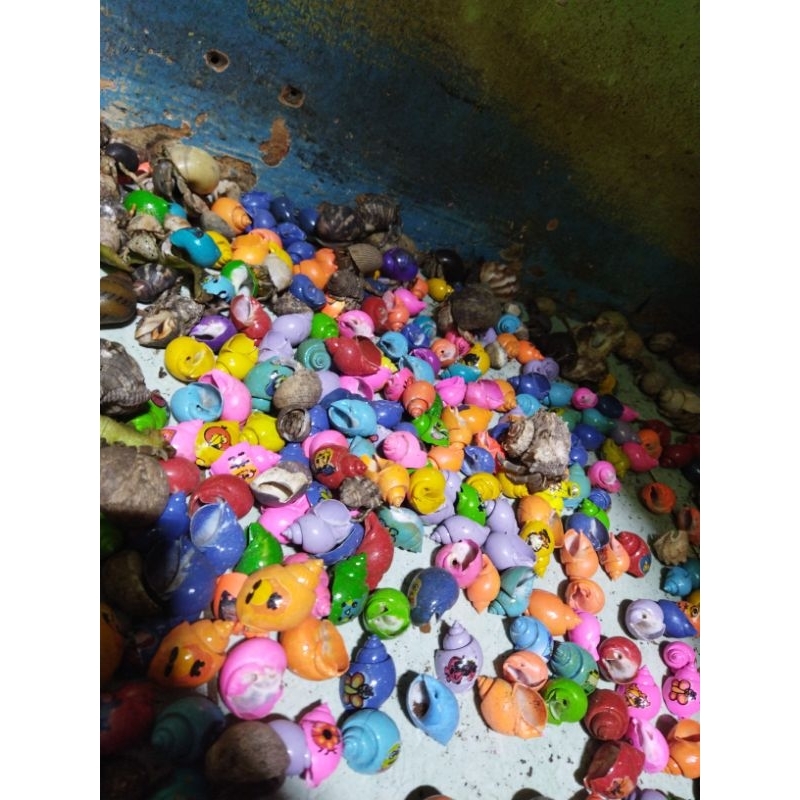 mainan rumah kelomang renda free 2pcs kelomang warna-warni