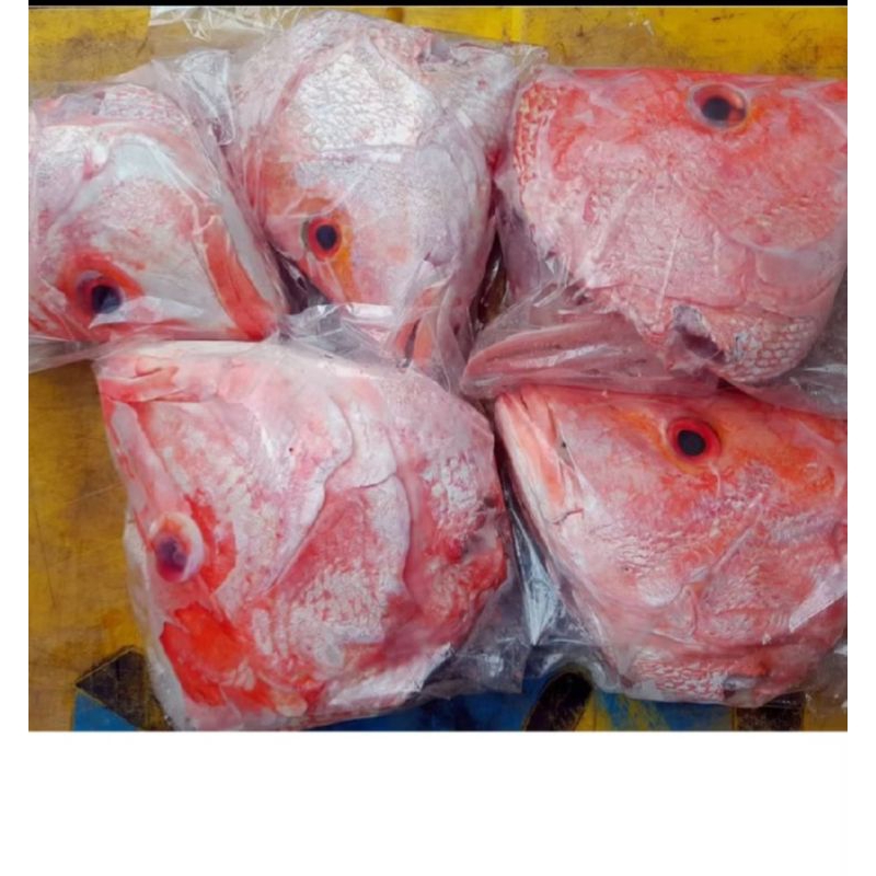 

kepala kakap merah besr2 per 1 kepla segar UK 8-9gram