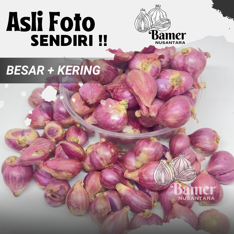 

Bamer Bawang Merah Kering Grosir 1 Kg 500 Gram Termurah Besar Lokal Untuk Bumbu Masakan Sedap Bawang Goreng Kecil Murah Gratis Ongkir 1/2 1/4 Kg