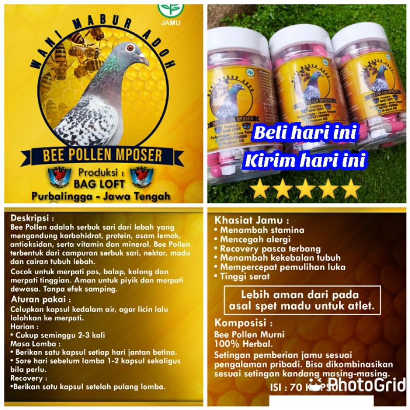 BEE POLLEN SUPLEMEN MERPATI/RACING PIGEON HERBS