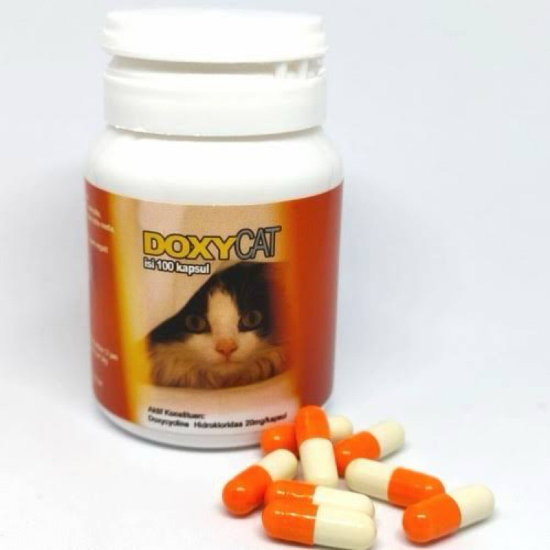 [1 KAPSUL] DOXY CAT OBAT FLU KUCING