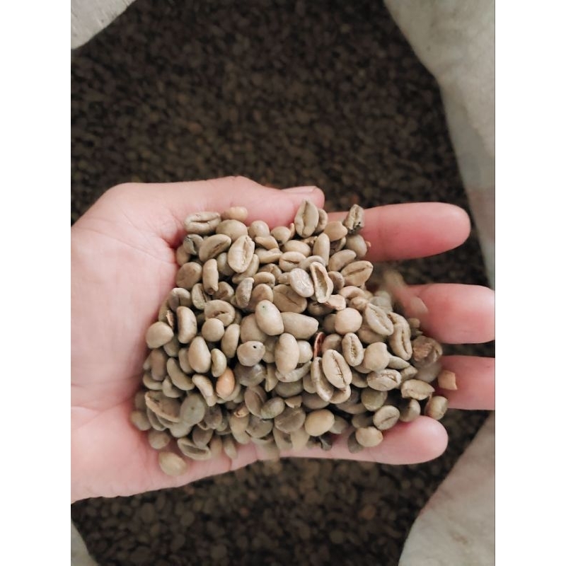 Biji kopi Robusta | Green bean robusta | Beans Robusta