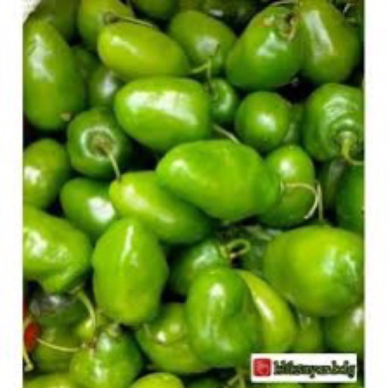 

cabe gendot hijau