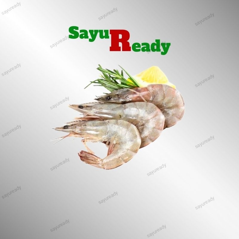 

Udang Vaname Segar Fresh (bisa request dibersihkan)