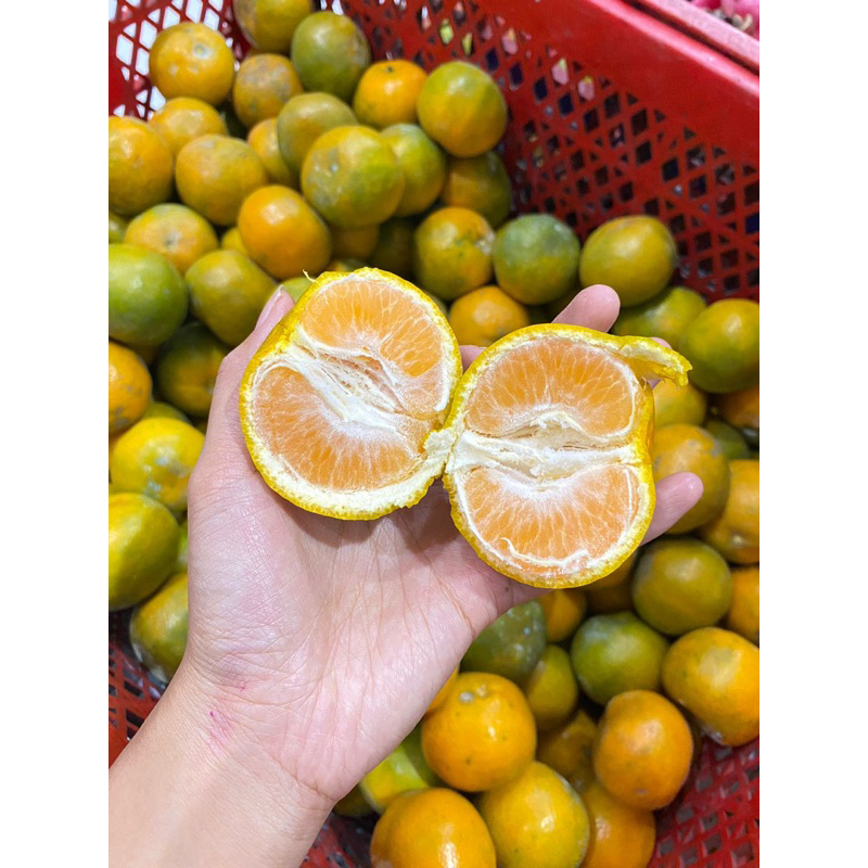 

900-1000 gr jeruk siam (keprok kupas) jeruk segar