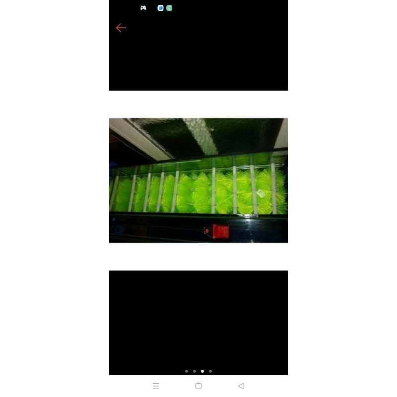 

paket hemat 50 pcs green brush 80 cm harga grosir