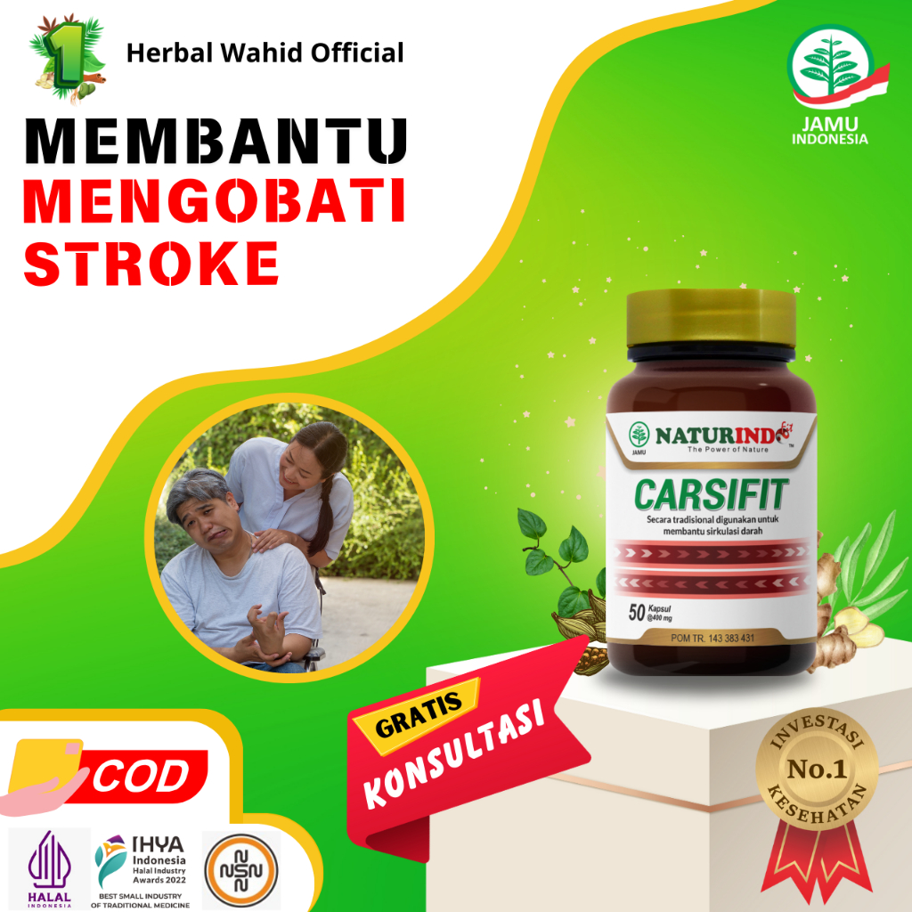 Obat stroke struk mati sebelah obat strok ringan berat lumpuh susah jalan carsifit