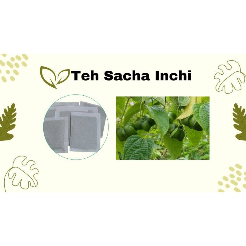 Teh Sacha Inchi