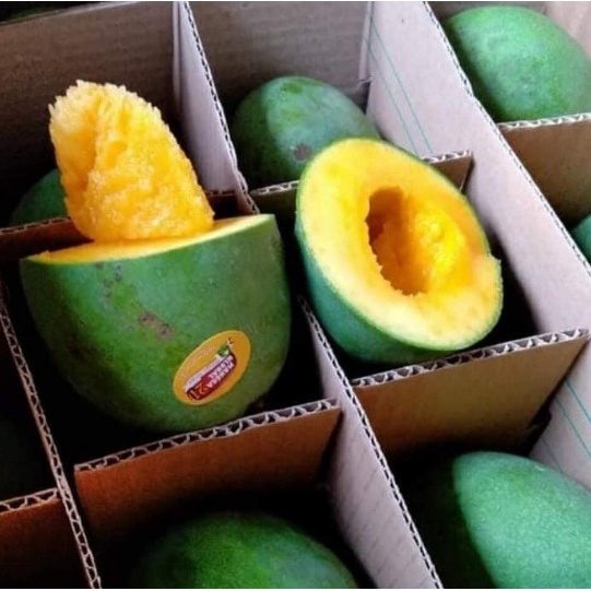 Mangga Alpukat 1 Dus 11 KG