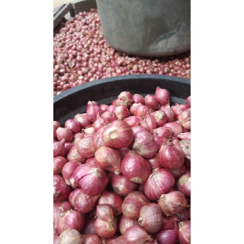 

Bawang Merah Murah 1kg