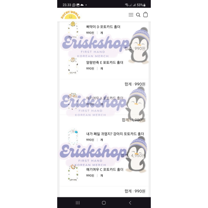 (plnsn) CARD HOLDER DUCKY WORLD