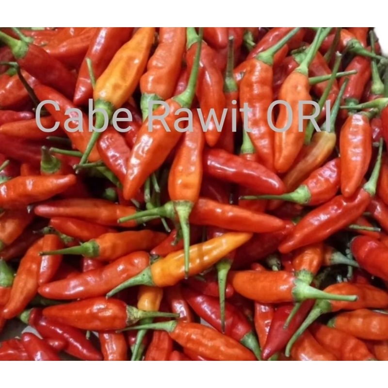 

PROMO Cabe Rawit ORI 500gram fresh