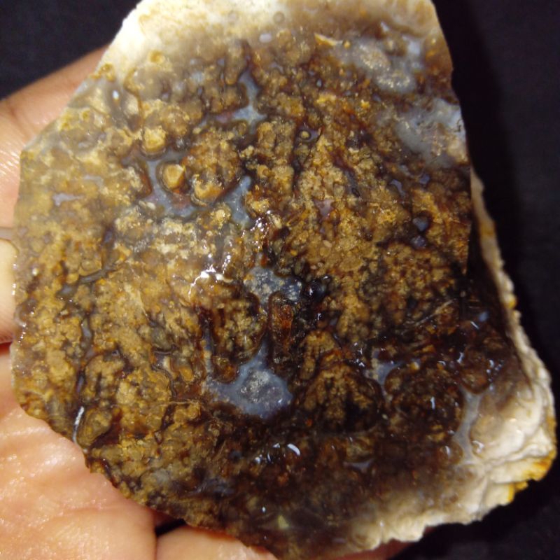 Original Batu Badar Emas HQ