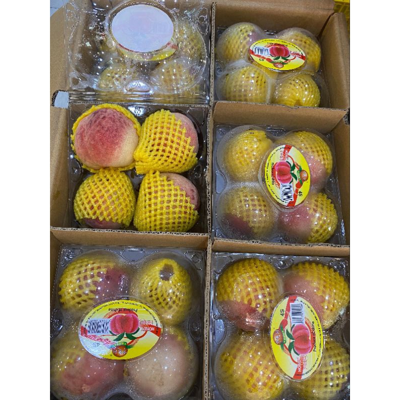 

PEACH CHINA - HALONA