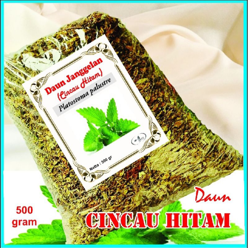 

Daun Cincau Hitam/Daun Janggelan/Cincau. 500 gram