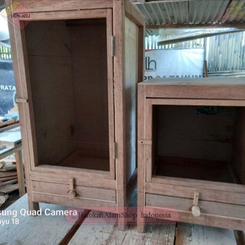 Kandang tokek-kandang gecko dari kayu