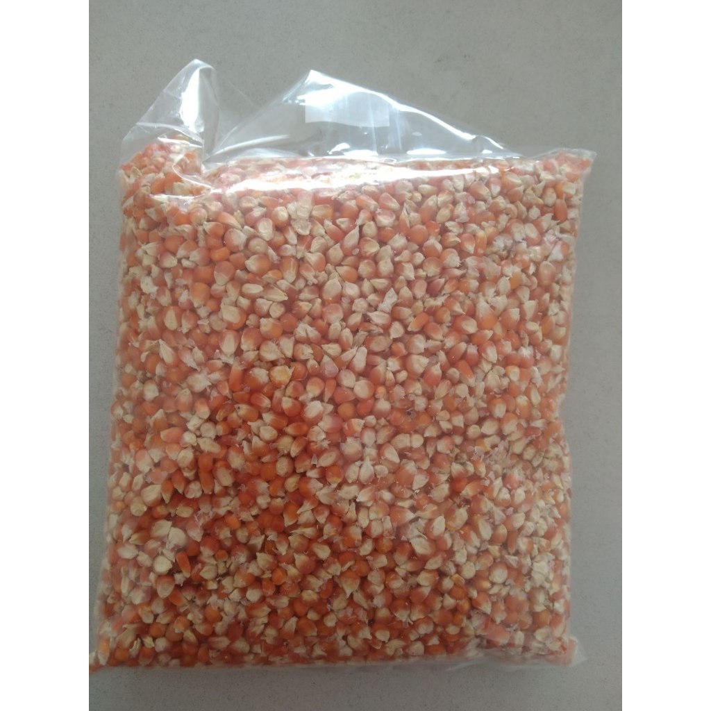 JAGUNG KECIL KRETEK KERING PIPIL KEMASAN 1KG JAGUNG