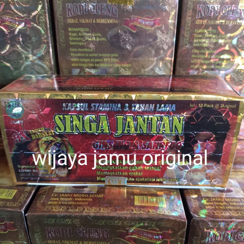 singa jantan original