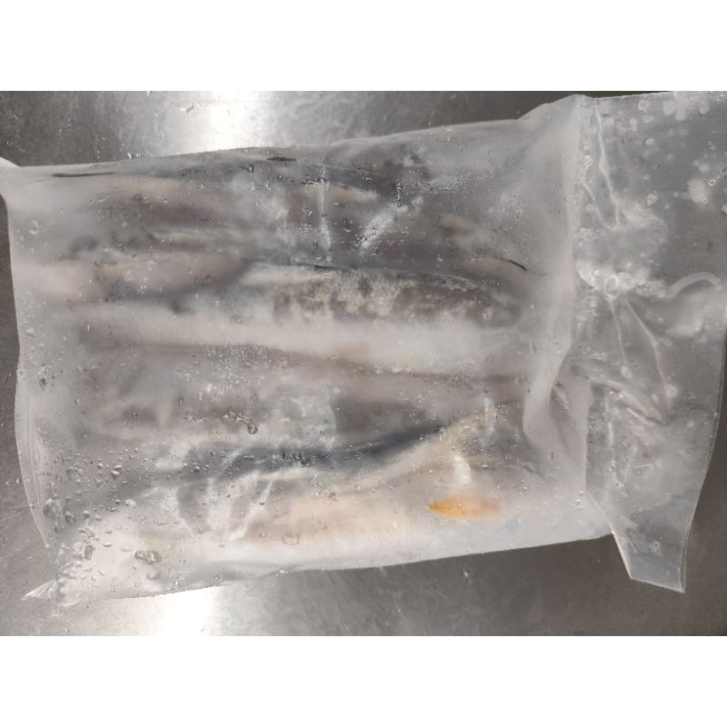 

Ikan Senangin / Frozen Fresh