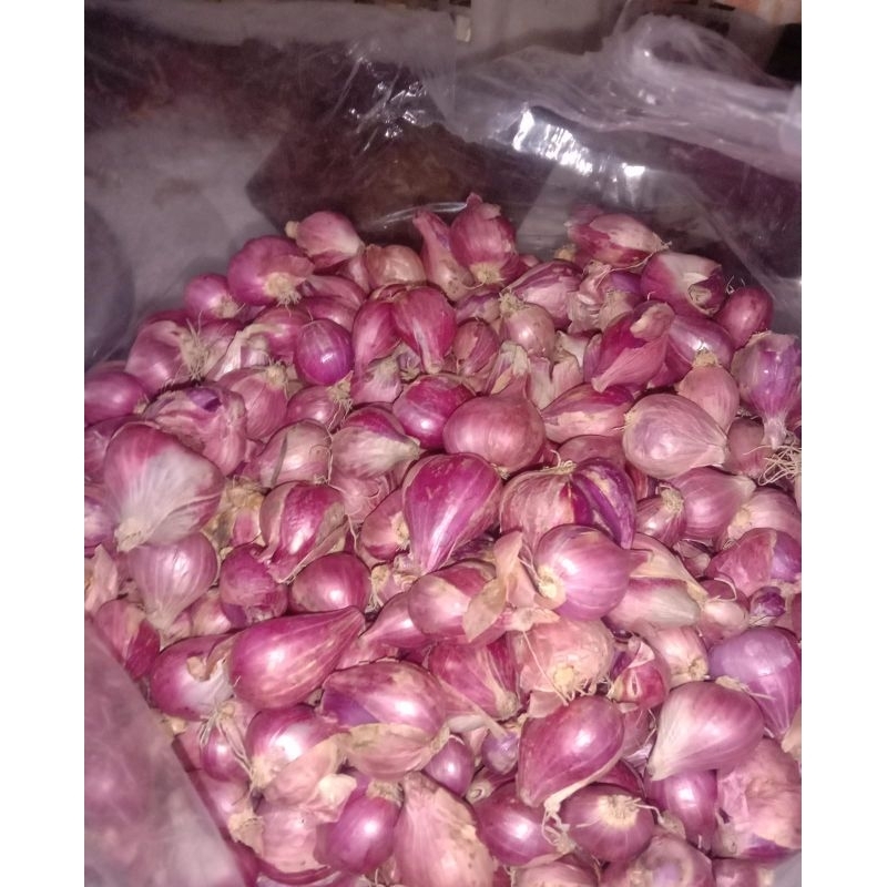 

Berbagai macam bumbu dan buah buahan fresh