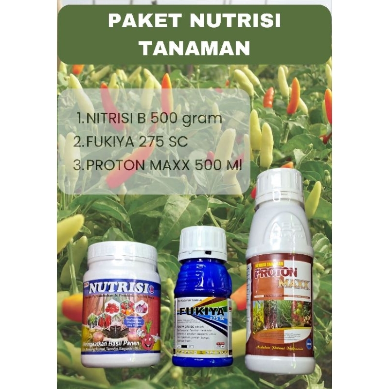 Paket Nutrisi Tanaman cabai | NITRISI B 500 gram, FUKIYA 275 SC 100 ml, PROTON MAXX 500 Ml