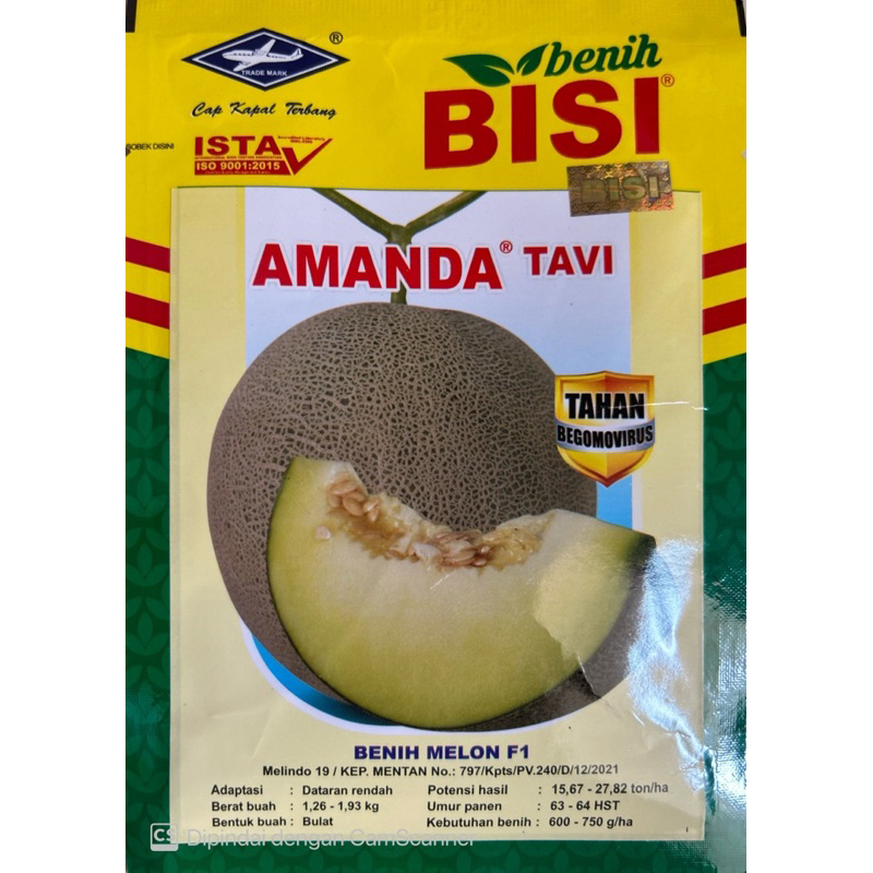 Melon F1 AMANDA TAVI