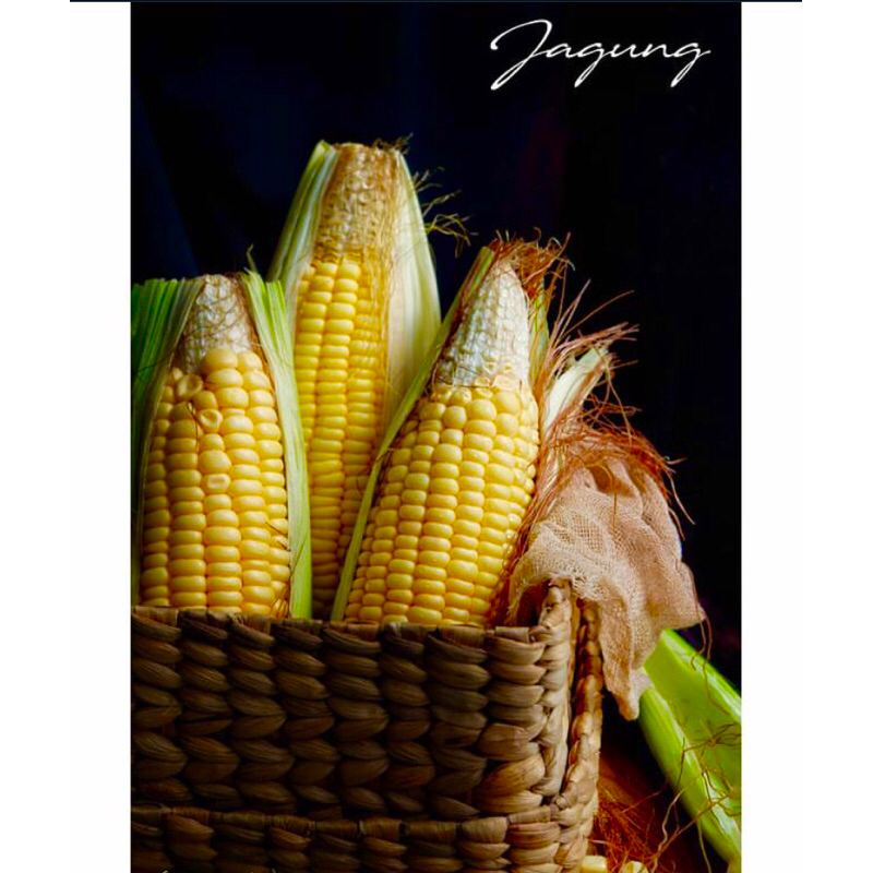 

JAGUNG MANIS PILIHAN 1 PAK ISI 2 (Hijau segar )