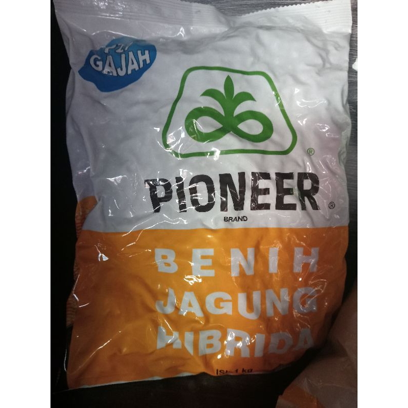 

jagung Pioneer P27 gajah 1kg