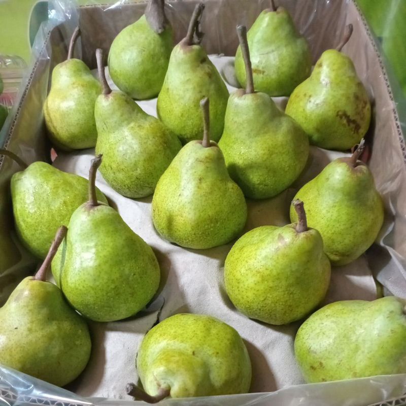 

Apel Hijau 500g