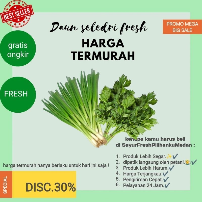 

promo daun seledri /daun bawang (daun Sop)/daun prey Brastagi termurah dipanen langsung oleh petani Karo| siap kirim gratis ongkir