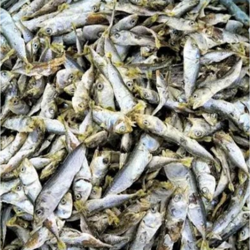 

ikan asin tongkol 500 gram presh