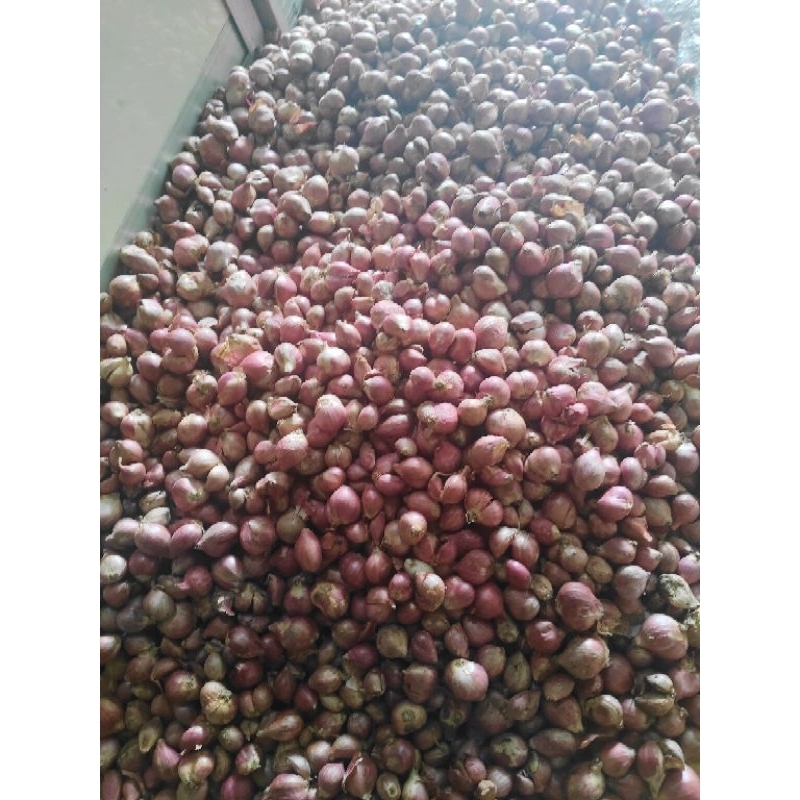 

bawang merah 1kg