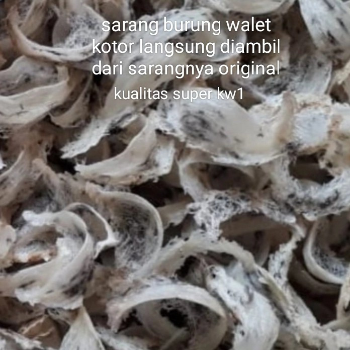 

Sarang Burung Walet Wallet Kotor Kualitas Super Alami Langsung Dari Sarang - 100 gram