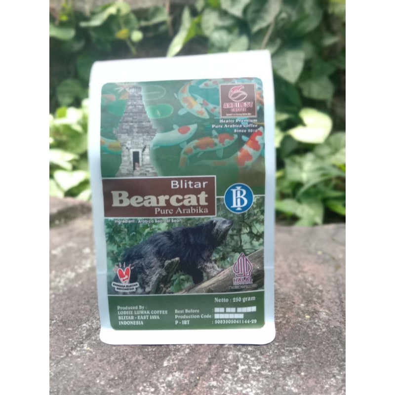 

KOPI LUWAK ARABIKA EXCELENT 250 GRAM //BEARCAT COFFEE || ROAST BEAN || BUBUK