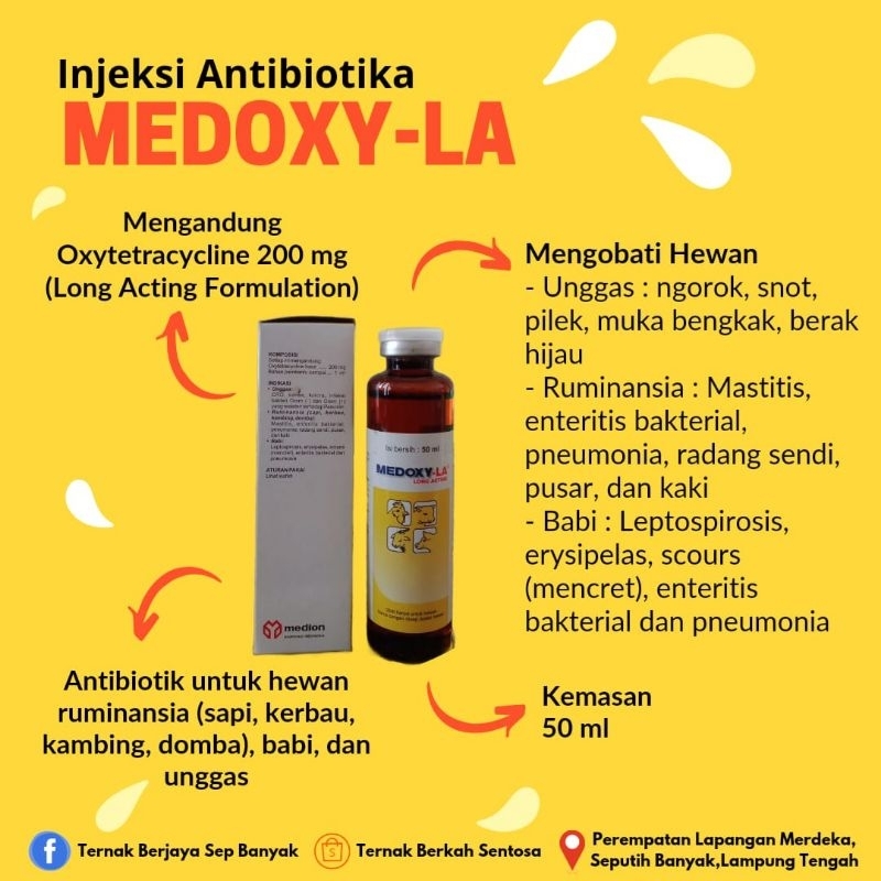 Antibiotik pada ternak - MEDOXY LA 50ml 100 ml untuk ternak (sapi,  kambing,  babi, ayam,  domba, ke