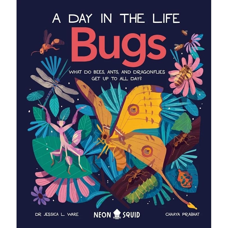 Bugs (A Day in Life) - 9781838991555