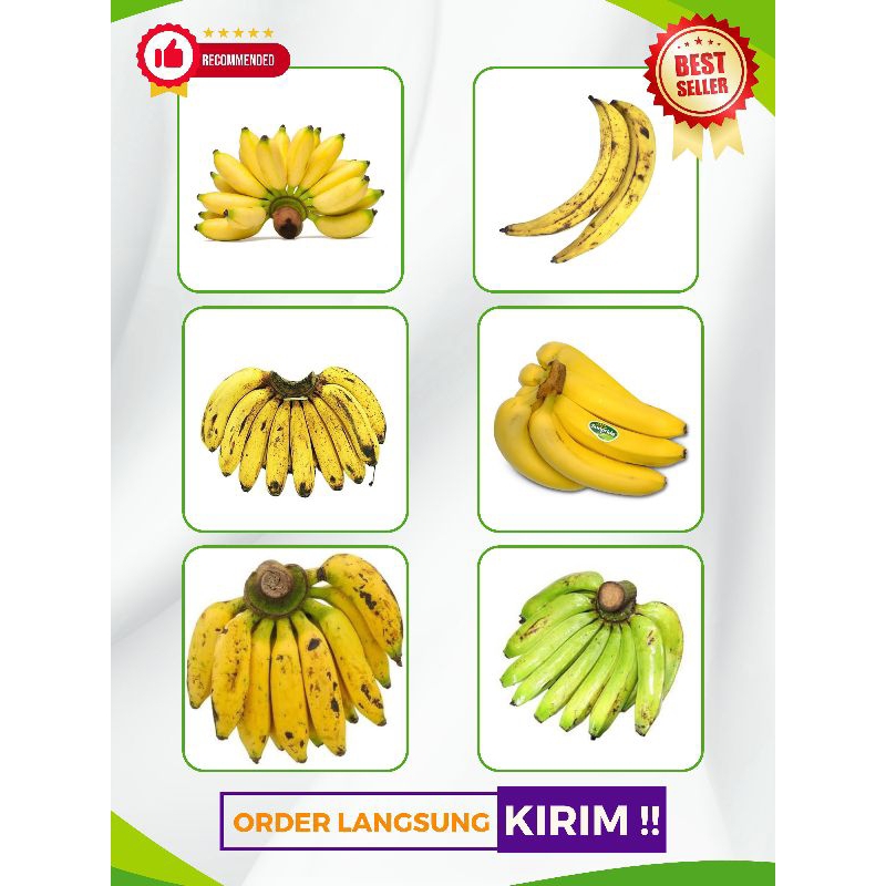 

Buah Pisang Segar Bogor Pisang Persisir Pisang Lampung Pisang Tanduk Pisang Cavendish Pisang Barangan Pisang Uli Pisang Ambon Order Langsung Kirim Terbaik Premium