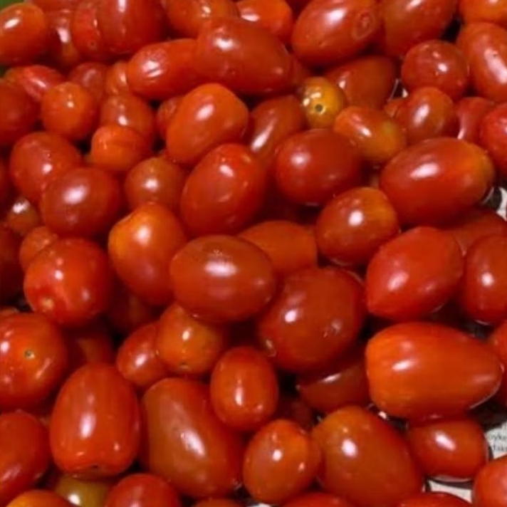 

Tomat Ceri Cherry Segar 1 kg