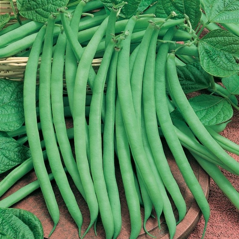 

buncis 250g