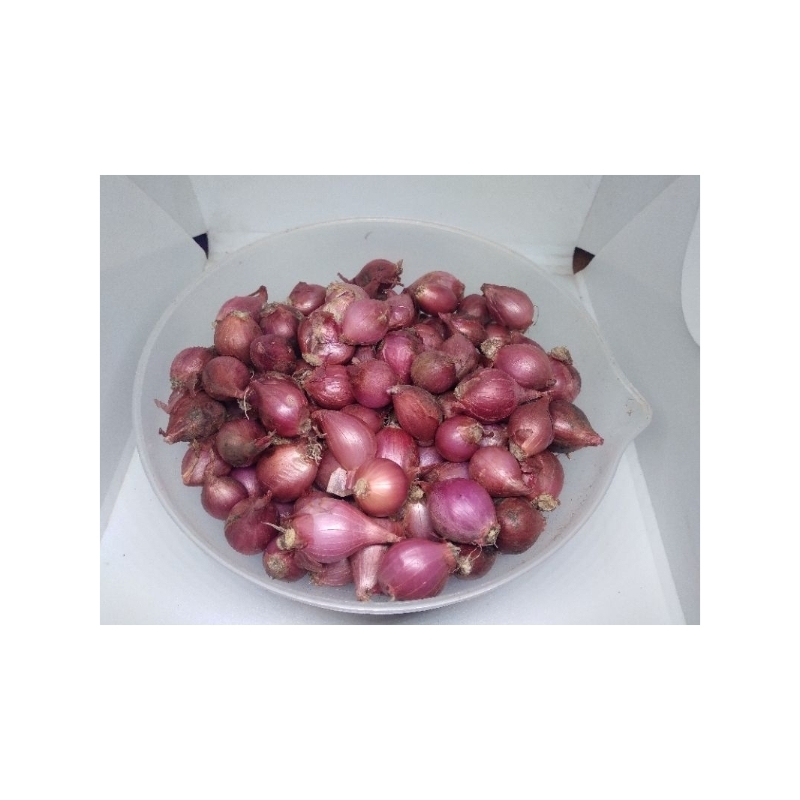 

Bawang Merah Termurah Ukuran Kecil Kemasan 1kg fresh