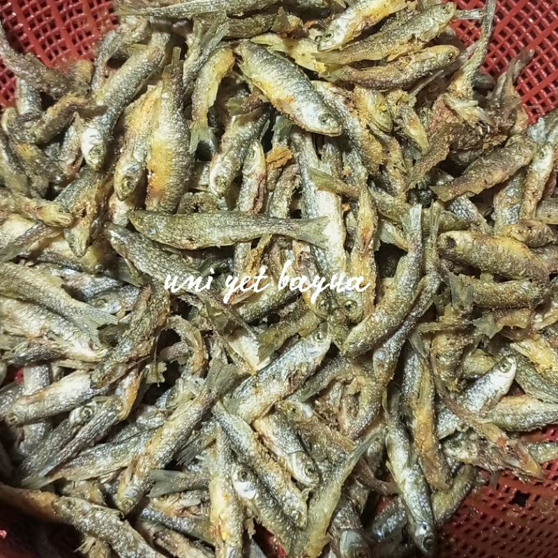 

bada goreng 100 gr / bada goreng / ikan bada / bada maninjau / bilis goreng/ bada goreng/ bilis goreng/bilih /bada goreng/uni yet bayua