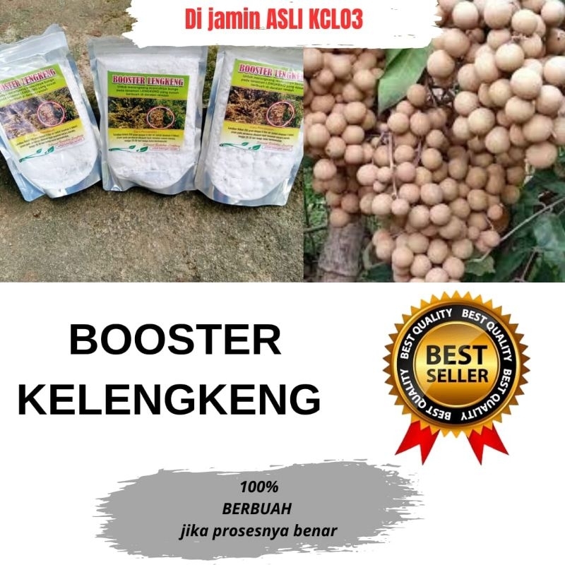 JAMIN ASLI Boster Lengkeng, Boster Pupuk Kelengkeng