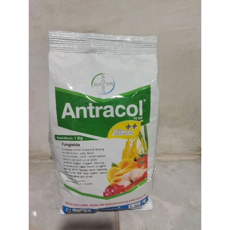 Antracol 70 wp 1kg