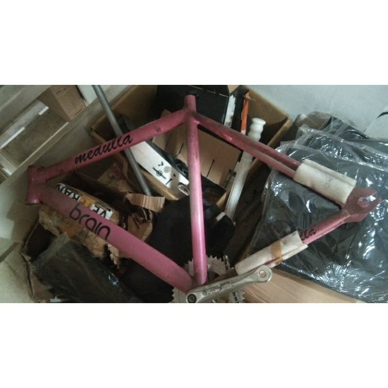 frame fixie brain medulla