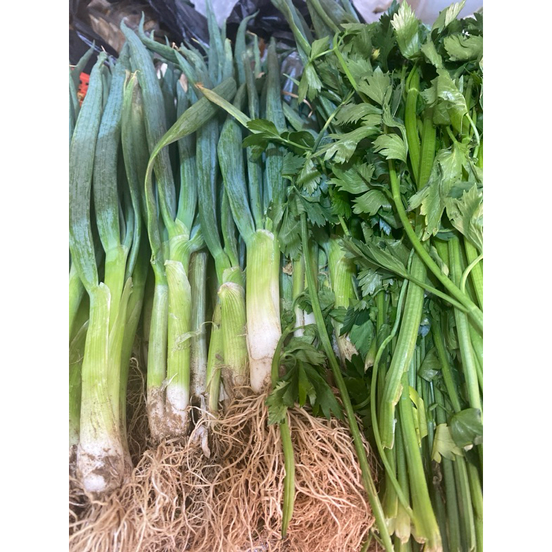 

Bawang Daun & Bawang seledri/daun sop 1/4kg