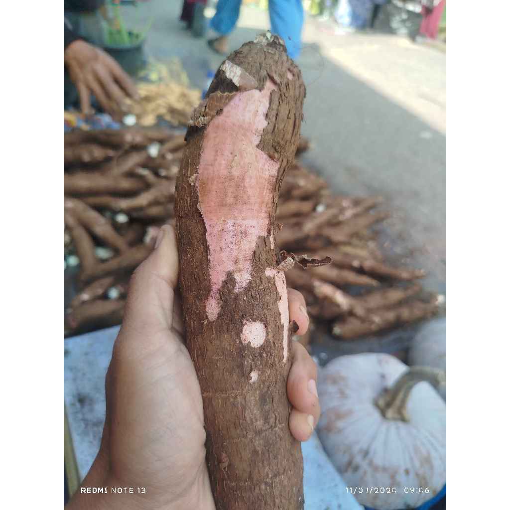 

Singkong keju 1kg