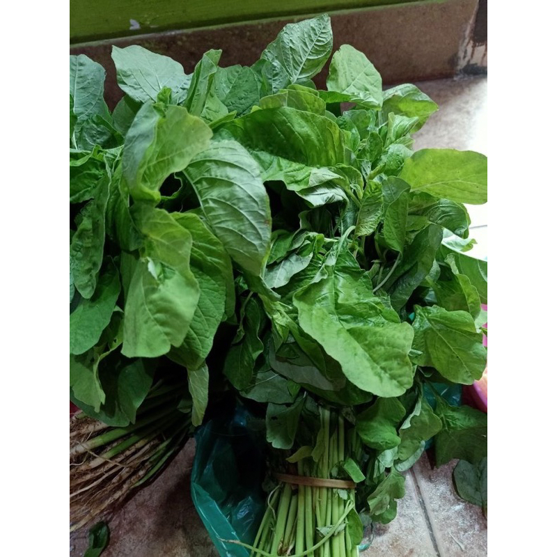 

Bayam Express/Instan Fresh Seger Eceran Update Setiap Hari