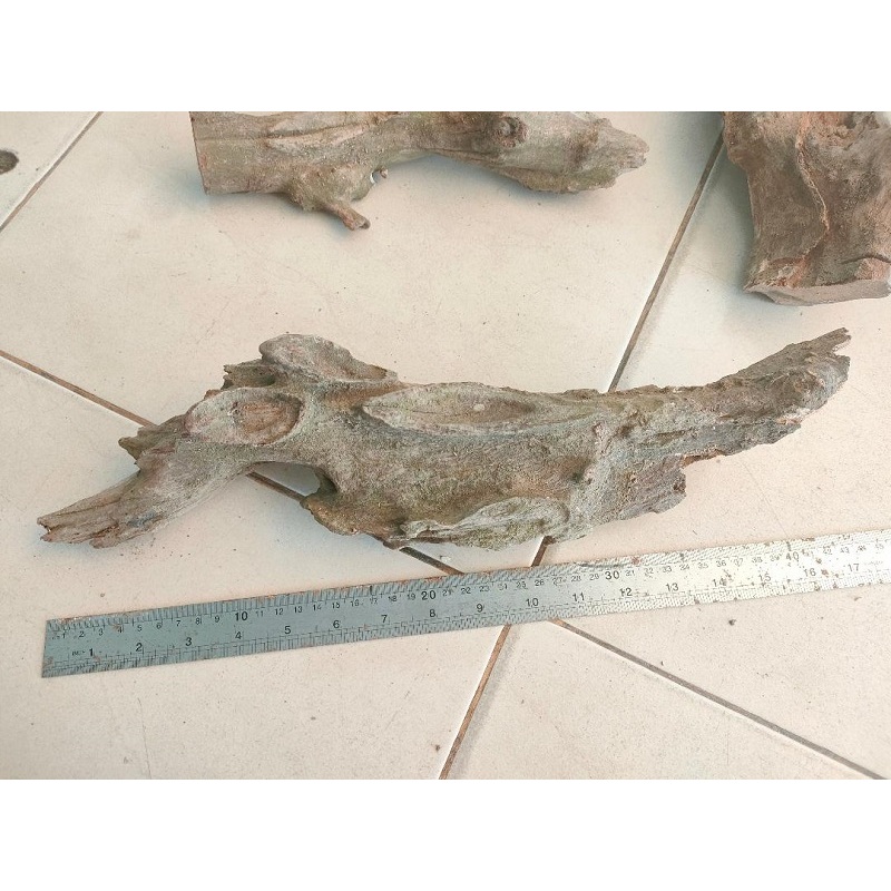 kayu rentek size xl kayu renteh aquascape kayu dekorasi aquarium