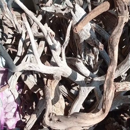 Kayu Santigi Laut Kecil- Kayu Tenggelam - Aquascape - Aquarium - Taman - 8